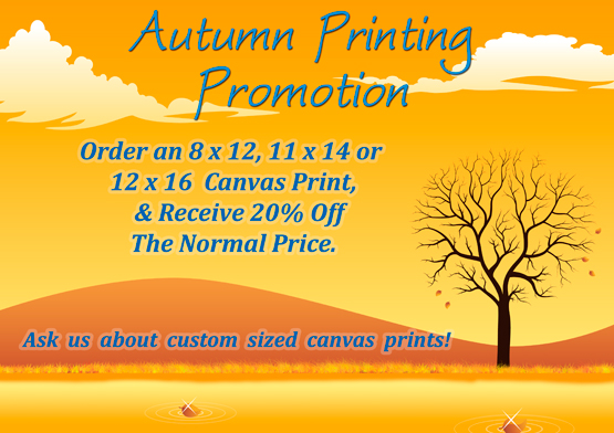 Autumn Canvas Print Promotion