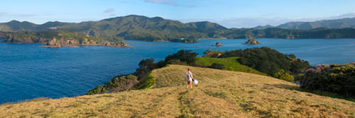 Photo-panorama-print-urupukapuka-island