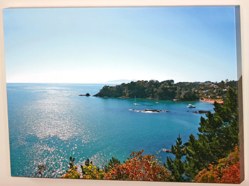 canvas-photo-print-waiheke-island