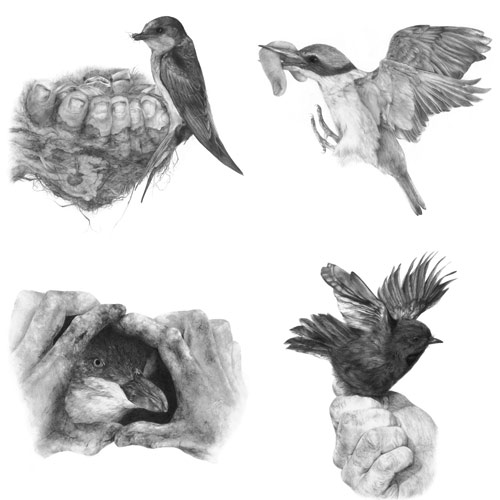 katie-hayward-fine-art-print-sketches.jpg