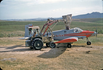 slide-scan-motutapu-aereal-top-dressing